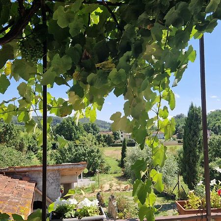 La Casa Nella Vigna Colline Del Vino Apartment Capannori Exterior photo