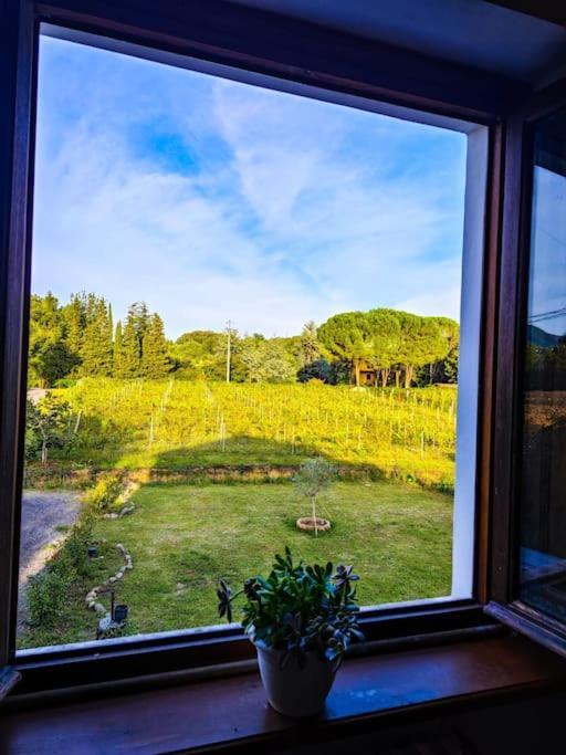 La Casa Nella Vigna Colline Del Vino Apartment Capannori Exterior photo