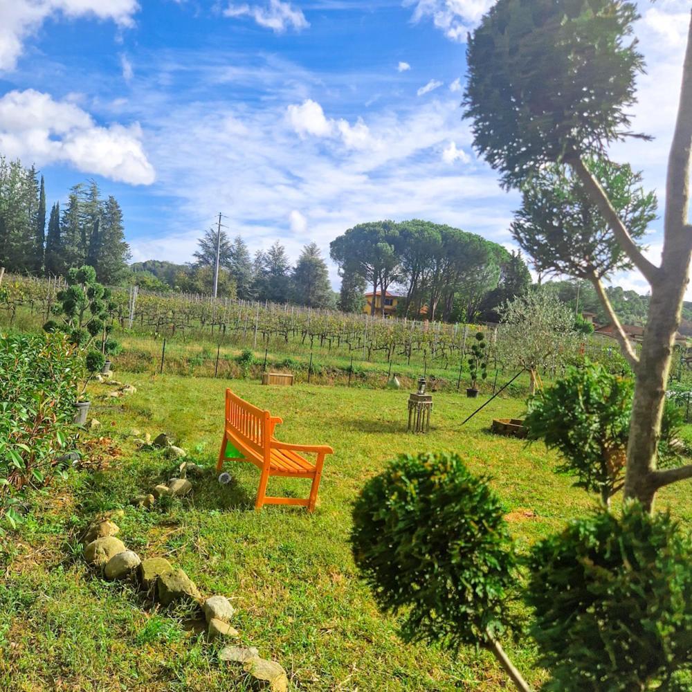 La Casa Nella Vigna Colline Del Vino Apartment Capannori Exterior photo