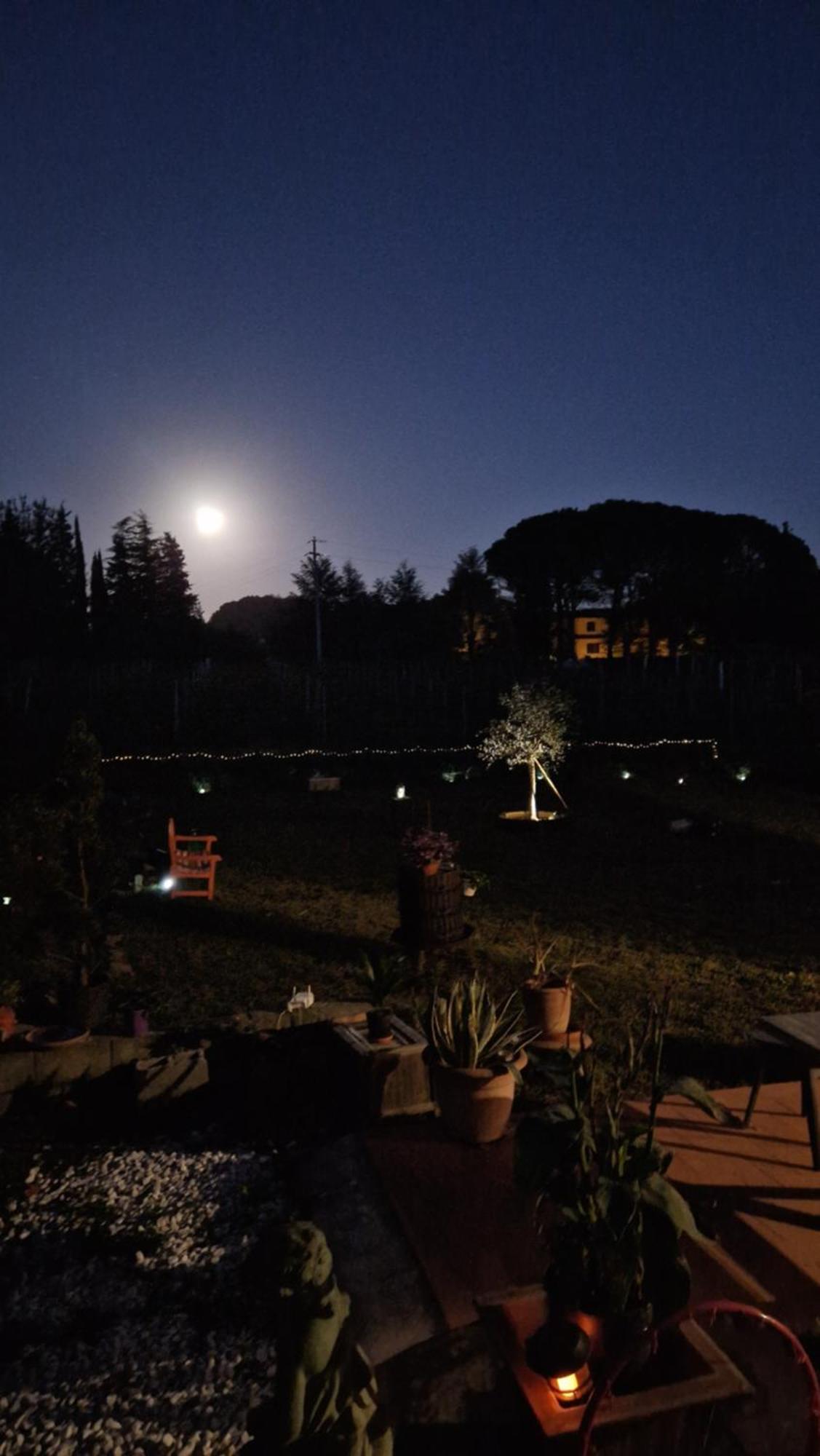 La Casa Nella Vigna Colline Del Vino Apartment Capannori Exterior photo