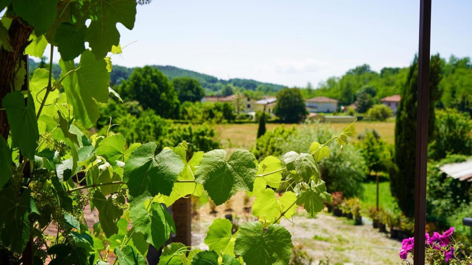 La Casa Nella Vigna Colline Del Vino Apartment Capannori Exterior photo